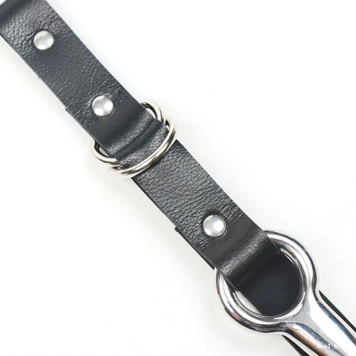 5853 EverydayUse Anal Collar Kinky Hook Leash with and 1027